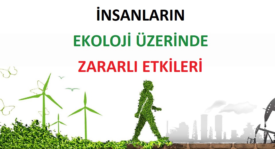 İnsanların Ekoloji Üzerinde Zararlı Etkileri
